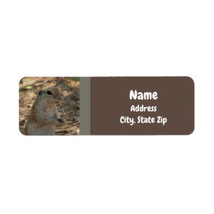 Étiquette Ground Squerrl Standing Photo Desert Animal
