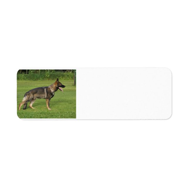 Étiquette gsd full sable (Devant)