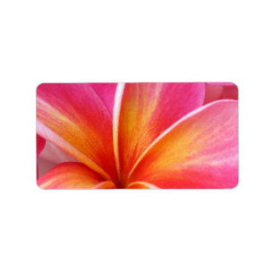 Étiquette Hawaïen rose de fleur d'Hawaï de Frangipani de