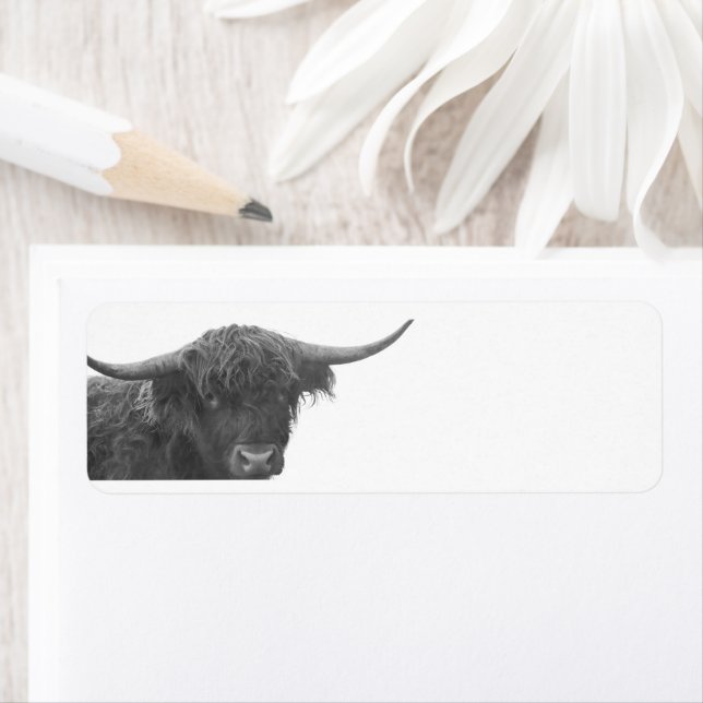 Étiquette Highland Cow Return Address Labels (En situation)