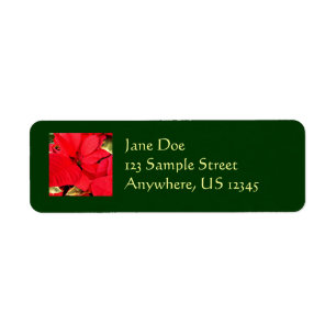 Étiquette Holly Point Poinsettias Noël Fête Florale