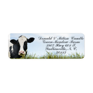 Étiquette Holstein