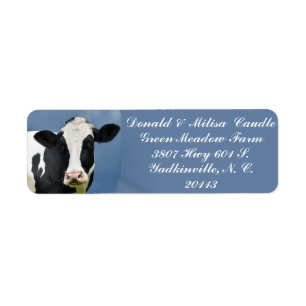 ÉTIQUETTE HOLSTEIN