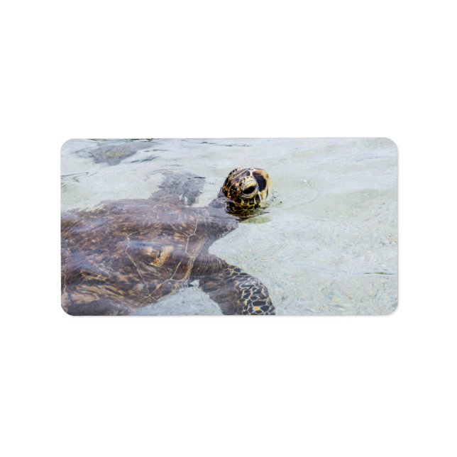 Étiquette Honu Hawaiian Sea Turtle - Hawaii Turtles (Devant)