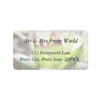 Étiquette Houseleek - Sempervivum