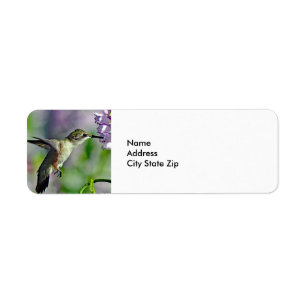 Étiquette Hummingbird Pink Floral Wildlife Photo