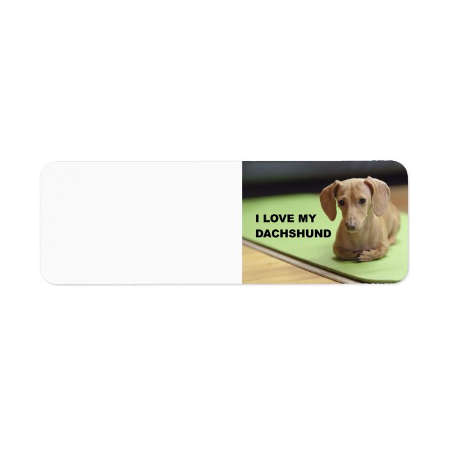 Étiquette I Love My Cream Dachshund avec photo (Devant)