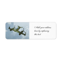 Illustration d'aviation militaire de vol de warbir