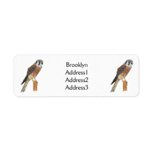 Étiquette Illustration d'oiseau américain Kestrel