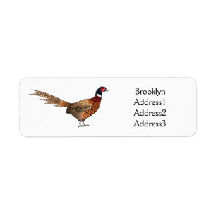 Étiquette Illustration d'oiseau faisan à cou circulaire