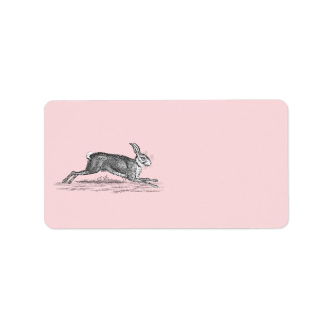 Étiquette Illustration lapin lièvre vintage - lapins (Devant)