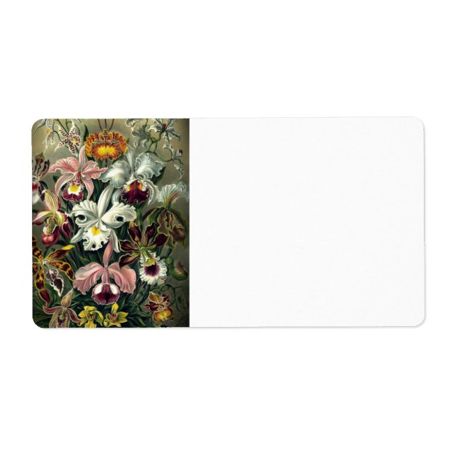 Étiquette Impression botanique des orchidées (Devant)