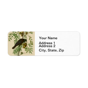 Étiquette Impression d'oiseau Grackle violet d'Audubon Botan