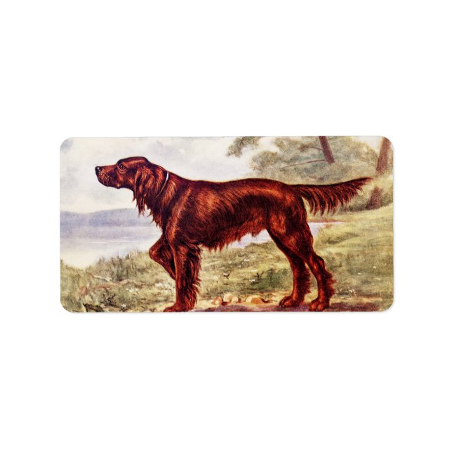 Étiquette Irish Setter 1900 (Devant)