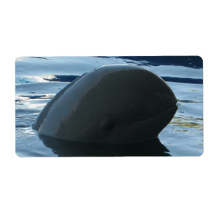 Étiquette Irrawaddy Dolphin Peek-A-Boo