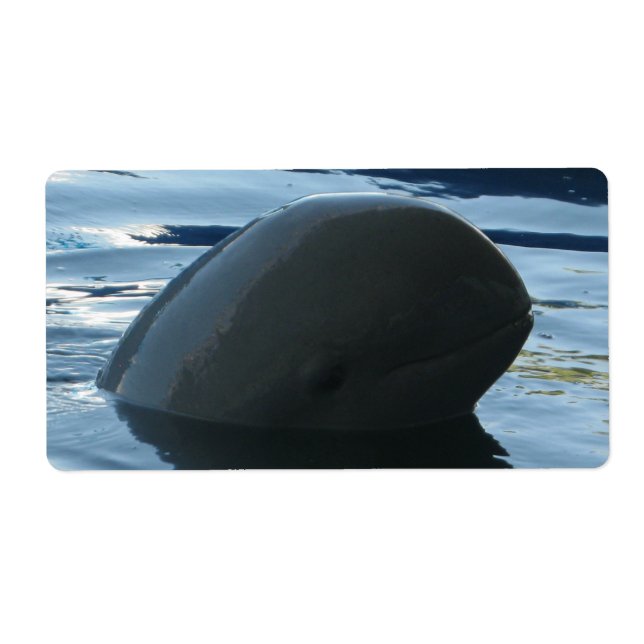 Étiquette Irrawaddy Dolphin Peek-A-Boo (Devant)