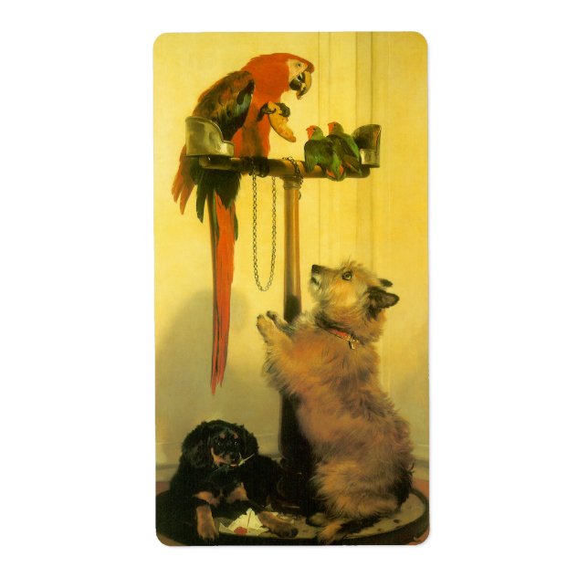 Étiquette Islay, Tilco, un Macaw et des Inséparables de Land (Devant)