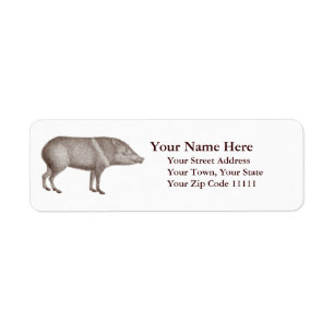 Étiquette Javelinas a colleté des Peccaries Arizona unique
