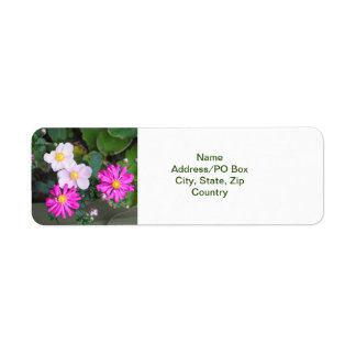 Étiquette Joli automne Fleurs automne rose Anémones