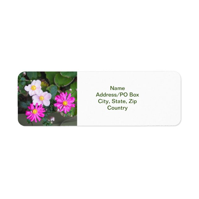 Étiquette Joli automne Fleurs automne rose Anémones (Devant)