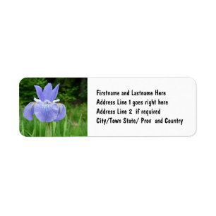 Étiquette Joli bleu Indigo Sibérien Fleur d'Iris