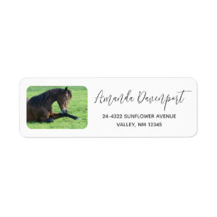Étiquette Joli Cheval Brown allongé dans l'herbe
