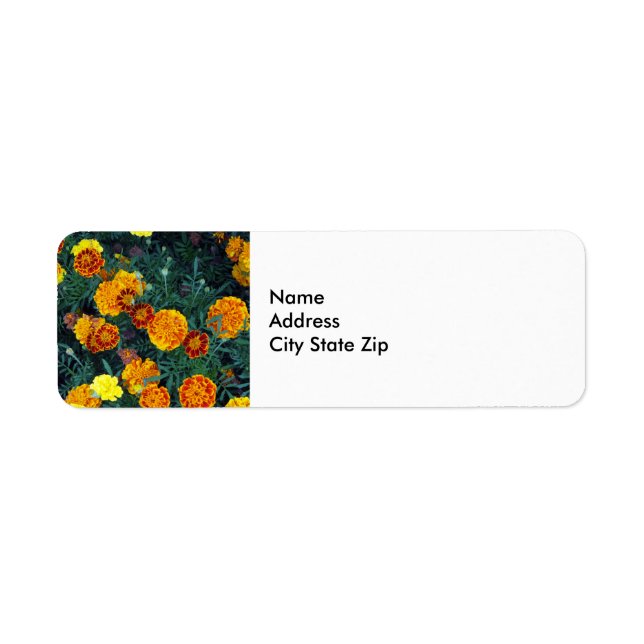 Étiquette Joli Orange Marigolds Floral Photo (Devant)