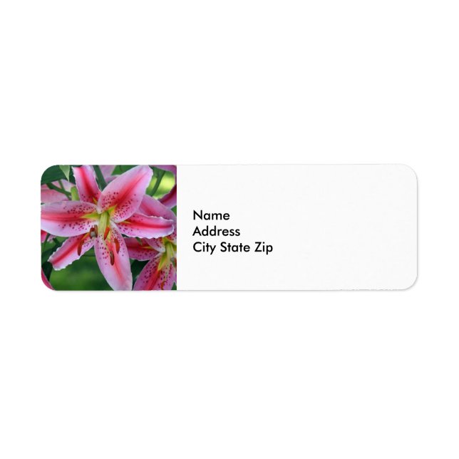 Étiquette Joli rose Lily photo florale (Devant)