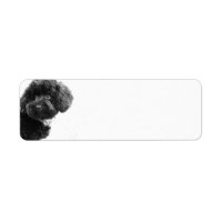 Jolie Chien Chien Chien Chien Chien Noir et Blanc 