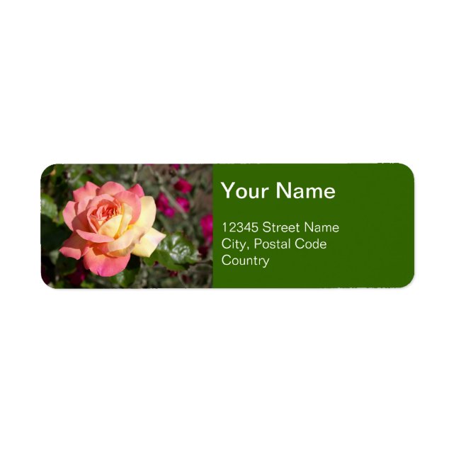 Étiquette Jolie fleur rose et jaune, personnalisée (Devant)