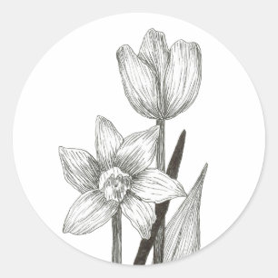 Étiquette jonquille et tulipe