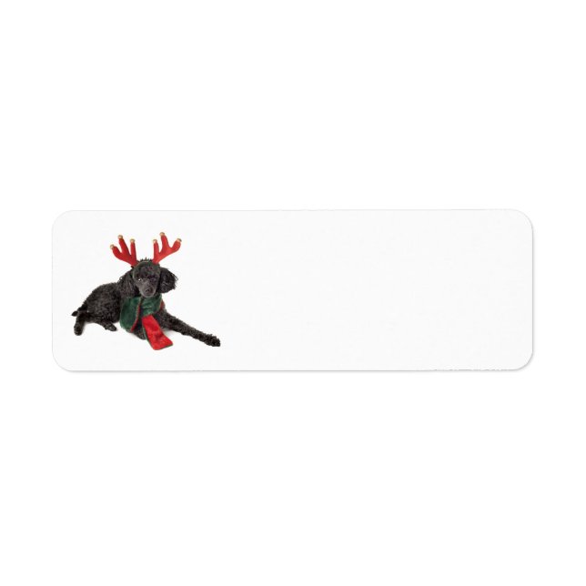 Étiquette Jouet noir de Noël Chien de caniche habillé en ren (Devant)