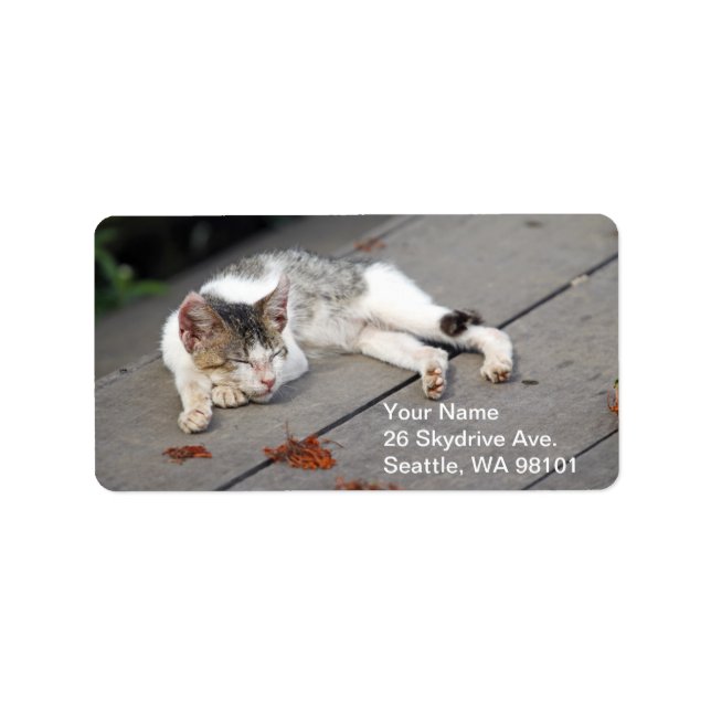 Étiquette Joyeux chat couché (Devant)