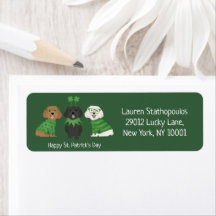 Joyeux Chiens de Maltipoo Jour de la Saint Patrick