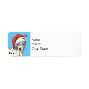 Étiquette Joyeux Howlidays American Hairless Terrier