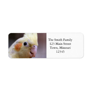 Étiquette Joyeux tiel