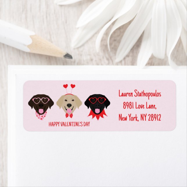 Étiquette Joyeux Valentines Day Labrador Retriever Dogs (En situation)