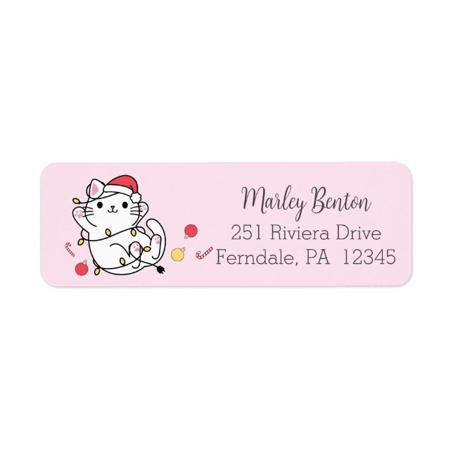 Étiquette Kawaii Noël Père Noël Enveloppe Chat (Devant)