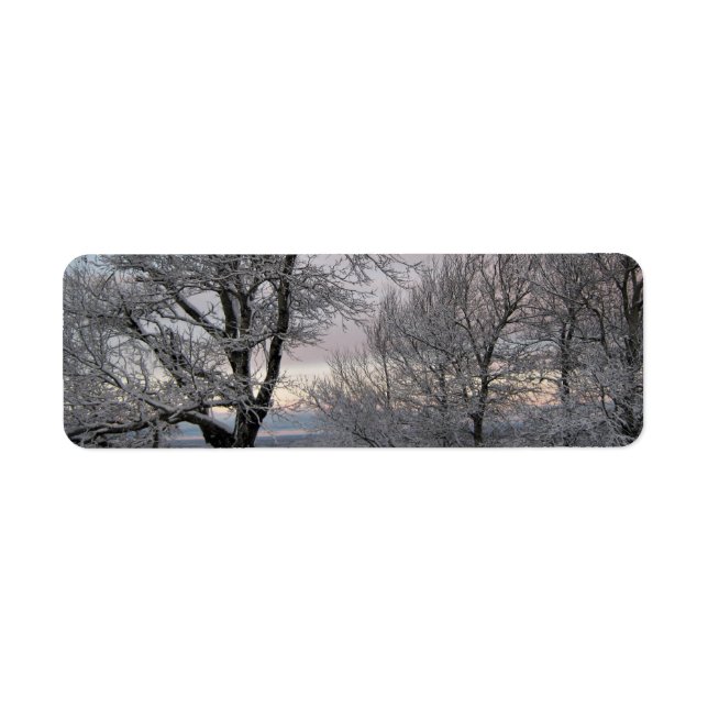 Étiquette La neige a couvert des branches (Devant)