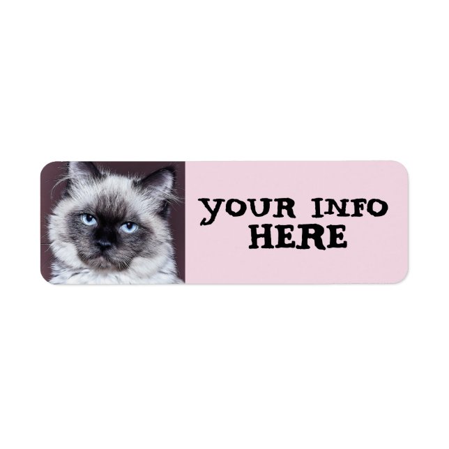 ÉTIQUETTE LABELS D'ADDRESS DE RETURN DE PEEKING SIAMESE (Devant)