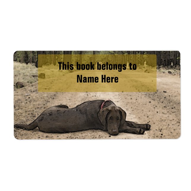 Étiquette Laboratoire De Chocolat Sur Un Chemin De Forêt (Devant)