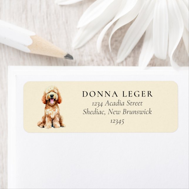 Étiquette Labradoodle Goldendoodle Adresse du chien (En situation)