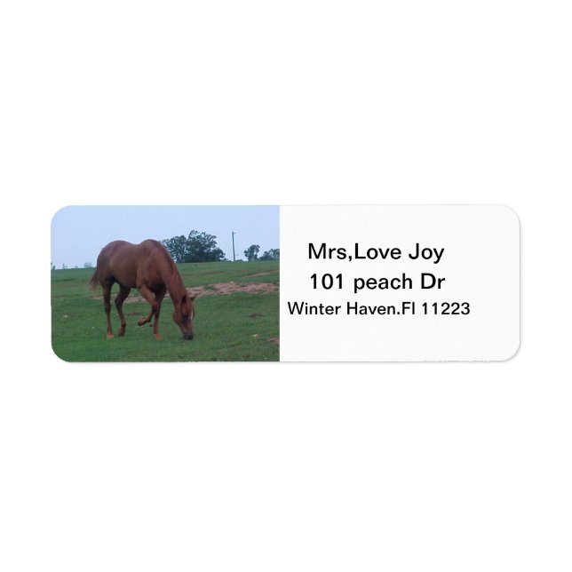 Étiquette Lâches d'adresse du cheval de ferme (Devant)