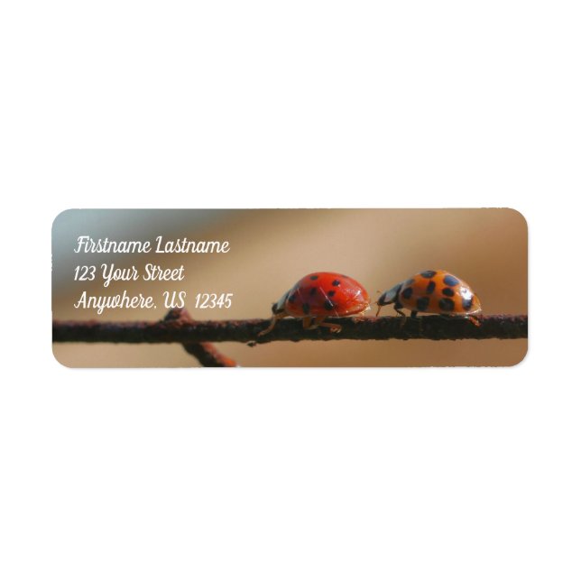 Étiquette Ladybugs Jouer Suivre L'Adresse Leader (Devant)