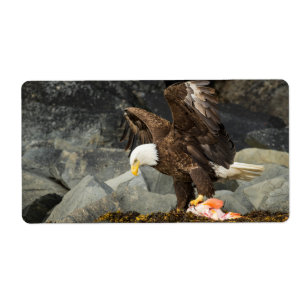 Étiquette L'aigle chauve ultime
