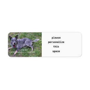 Étiquette L'amour du chien de bétail australien avec pic