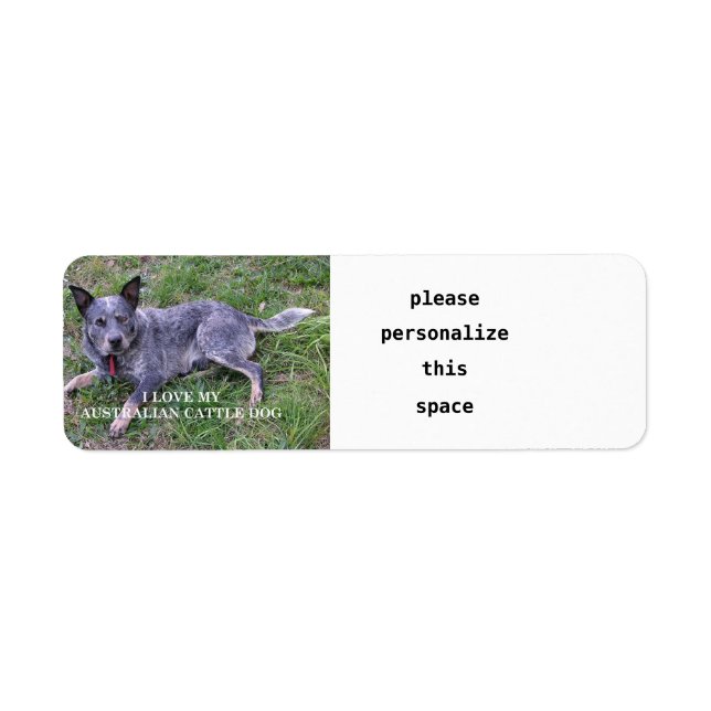 Étiquette L'amour du chien de bétail australien avec pic (Devant)