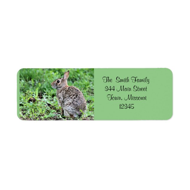 Étiquette Lapin (Devant)