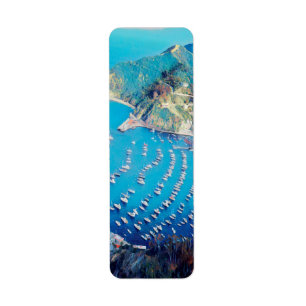 Étiquette ldp PÈRE NOËL CATALINA Island - Californie - port
