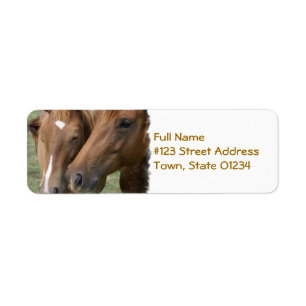 Étiquette Le cheval poussent du nez l'étiquette postale